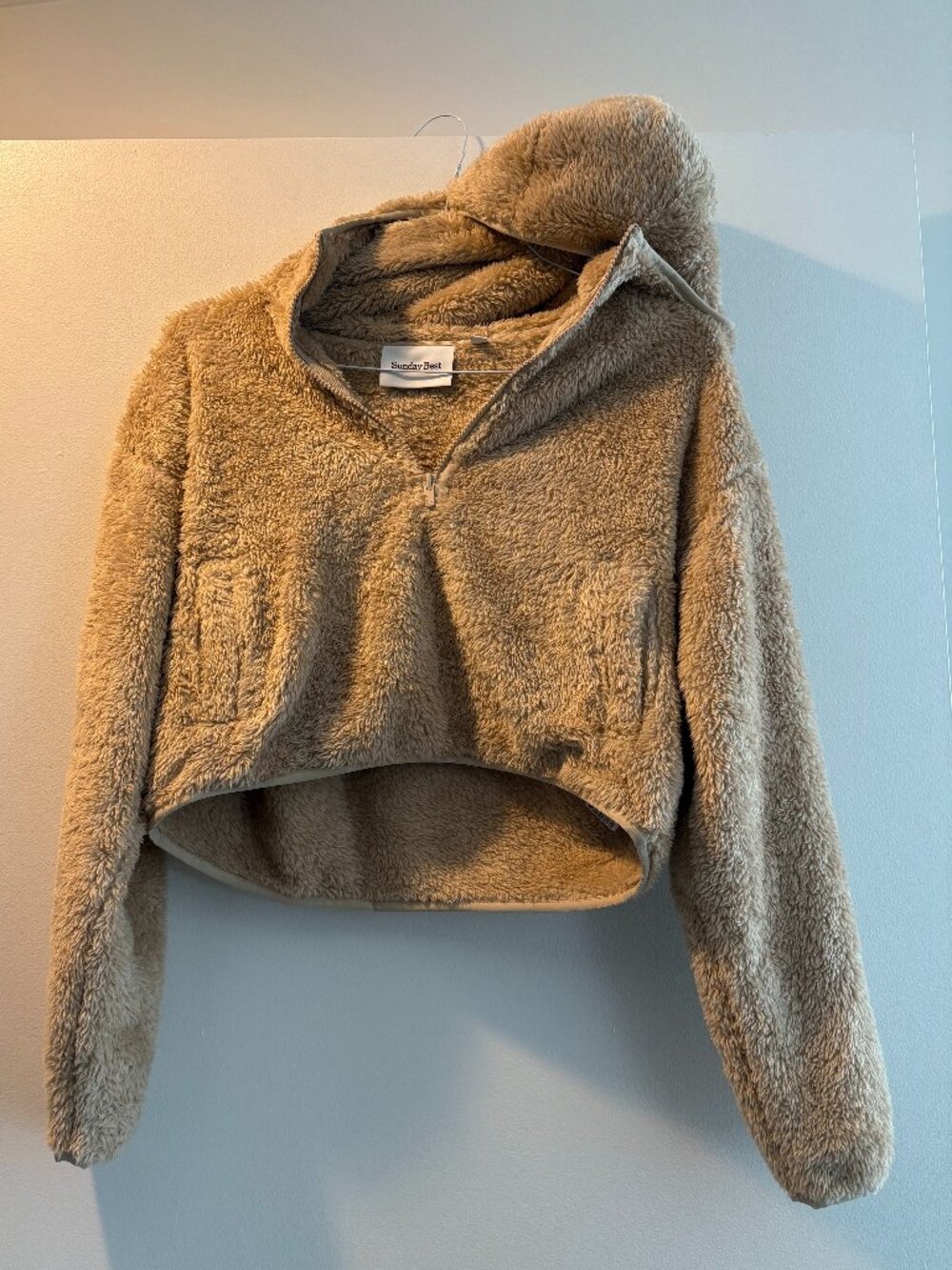 Aritzia Sunday Best Teddy Bear Sweatshirt